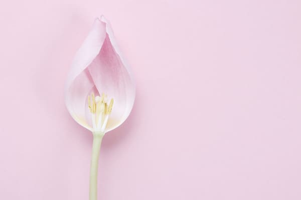 Menopausia