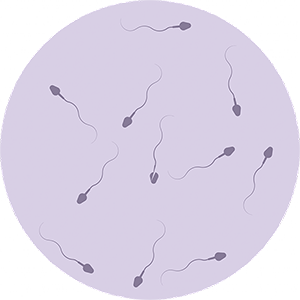 esperma11