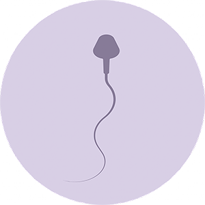 esperma22